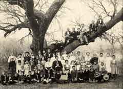 Genealogia - Arbol Genealogico